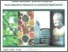 [thumbnail of Supercritical CO2 Extraction of Phytochemical From Herbaceous Plant]